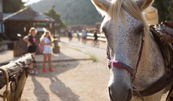 Kidup.gr Summer camps σε όλη την Ελλάδα, Αθήνα, Θεσσαλονίκη, Ηράκλειο, Πάτρα, Βόλος